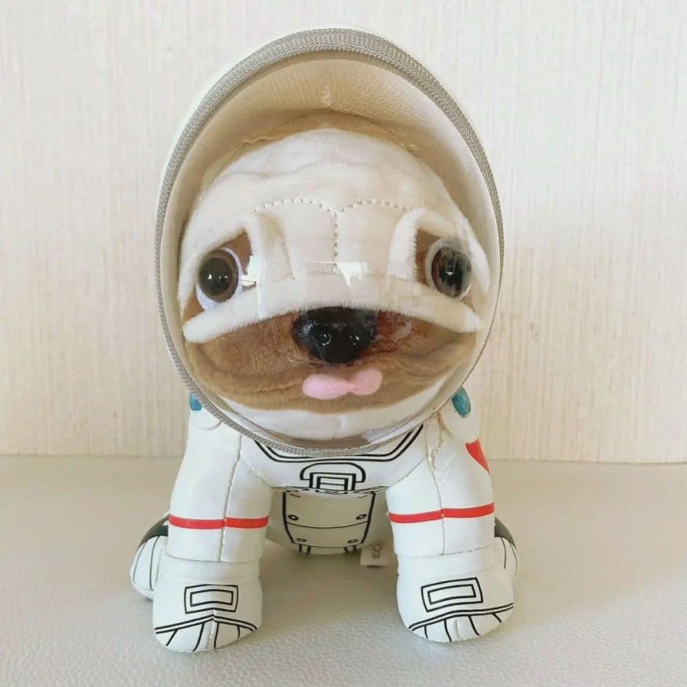 宇宙兄弟 アポ ぬいぐるみ、2wayクッションネックピロー、ポーチ☆4点セット