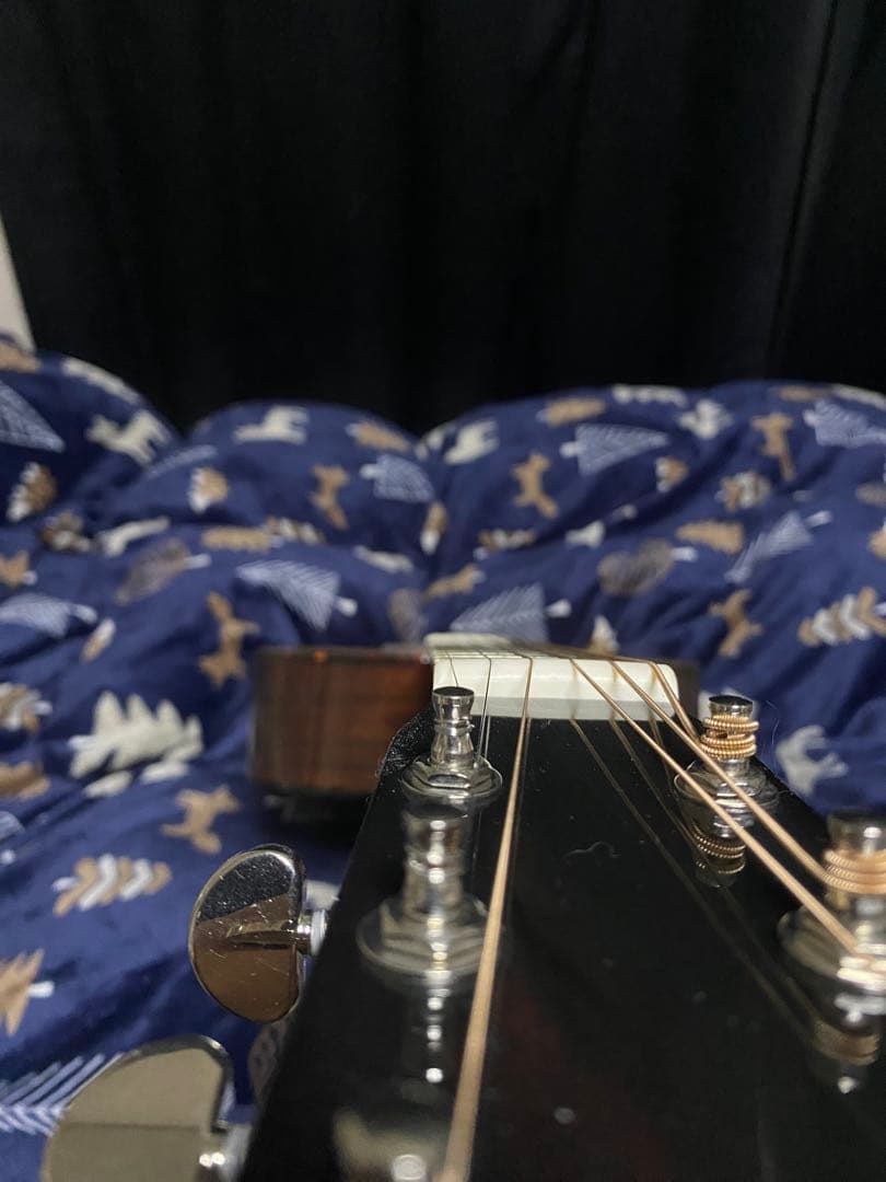 RECORDING KING RO-G6 新品 Martin OOOタイプ