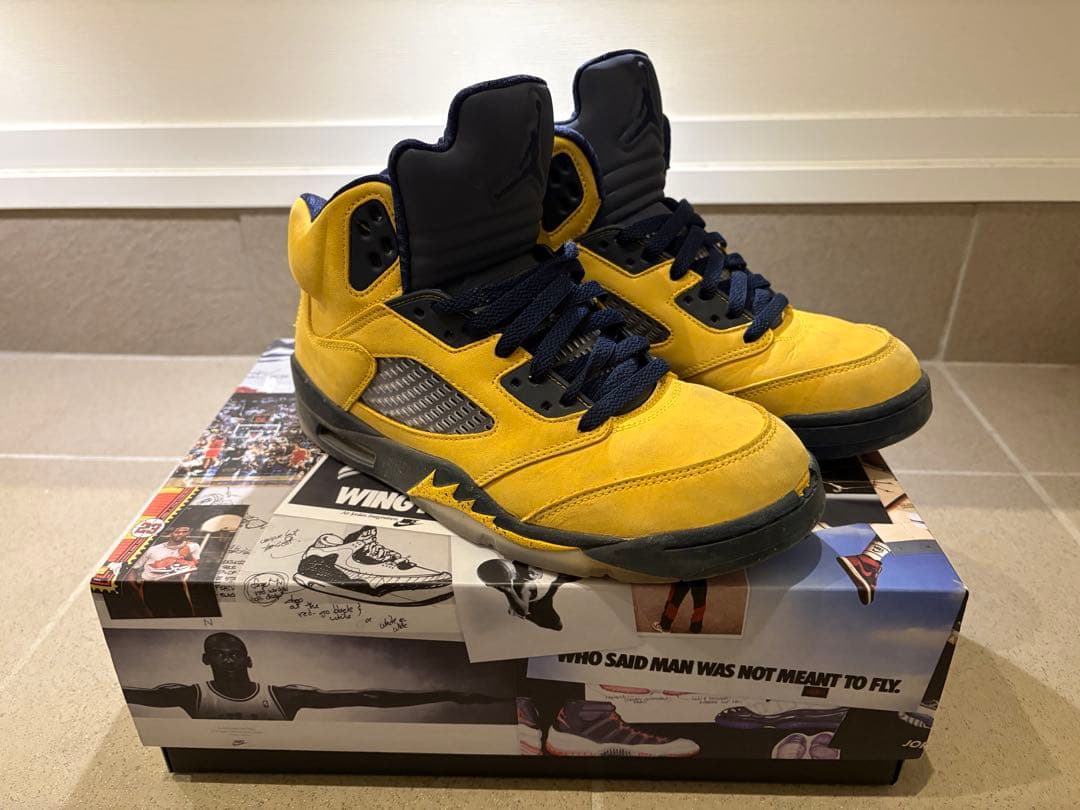 エアジョーダン5 AIR JORDAN5 ミシガン　Michigan