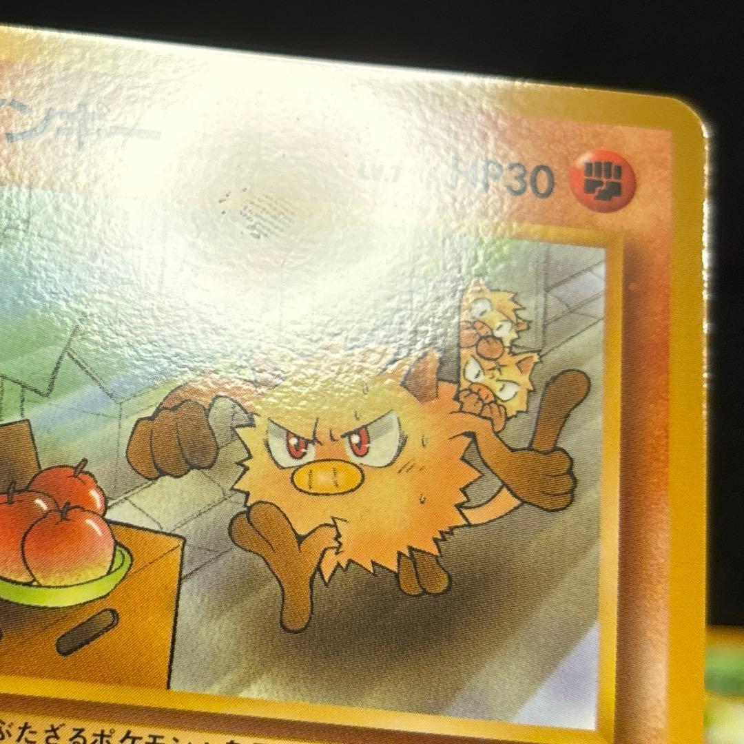 #ゆんの気まぐれオークション　（竹）　ポケモンカードになったワケ　2セット