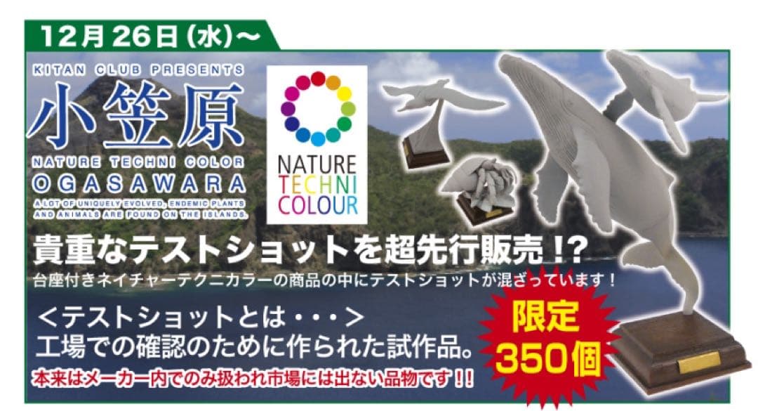 小笠原　アホウドリ　テストショット　ネイチャーテクニカラー