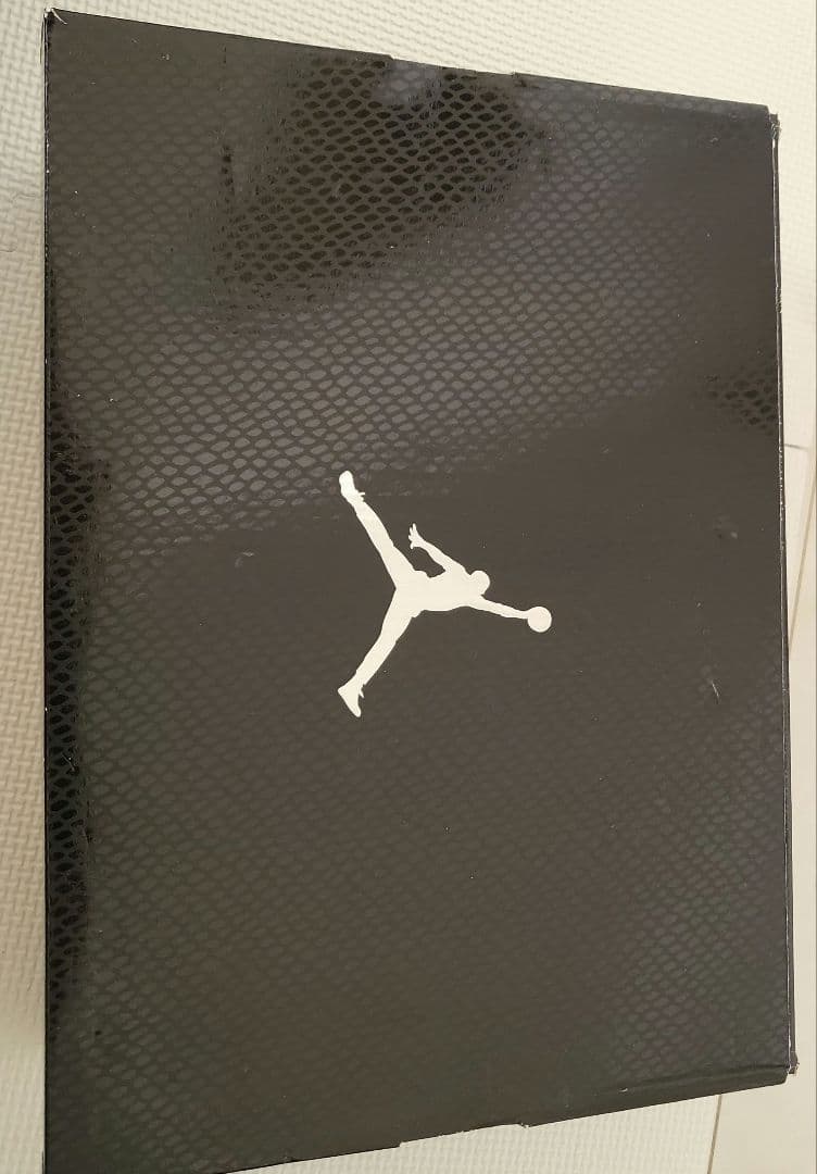 Air Jordan 11 Low スネークスキン