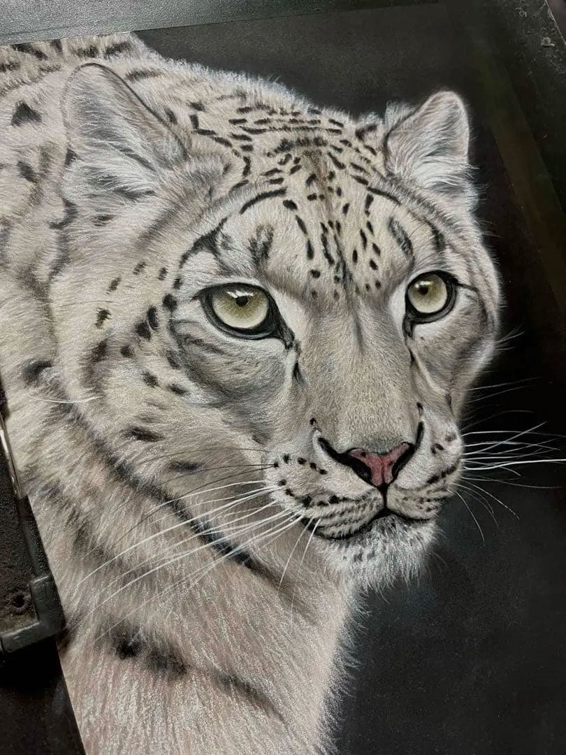 【こうちゃん】ユキヒョウ　絵画