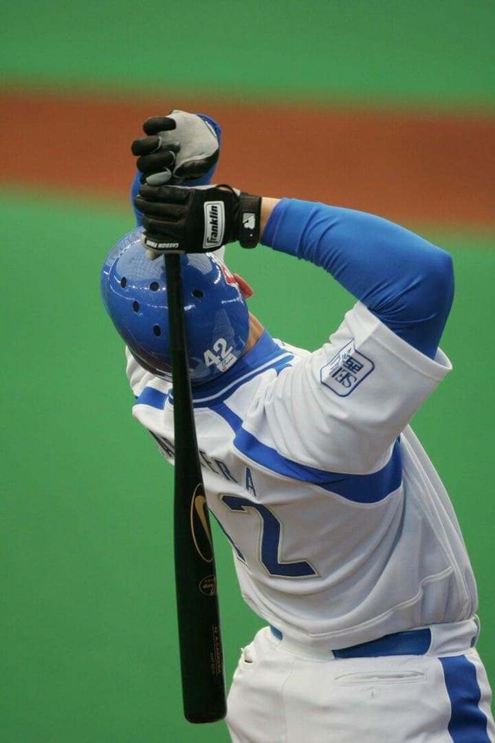 西武ライオンズ　アレックス・カブレラ　実使用　NPBバット サイン入り　ナイキ