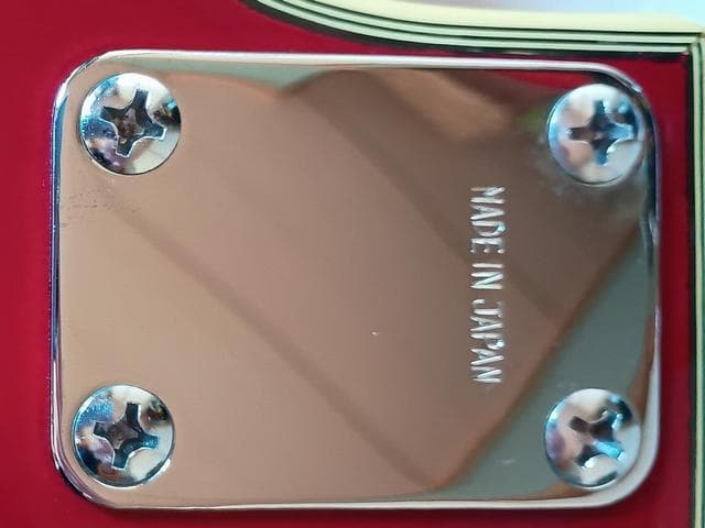 Fresher レスポール カスタム ソフトケース MADE IN JAPAN