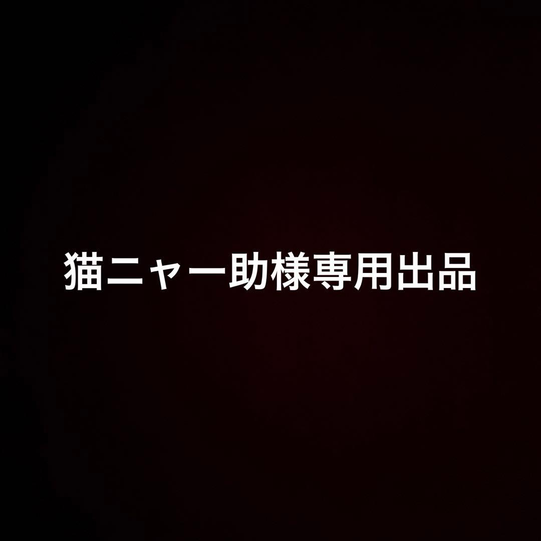 【専用】烙印ドラゴンテイル デッキ