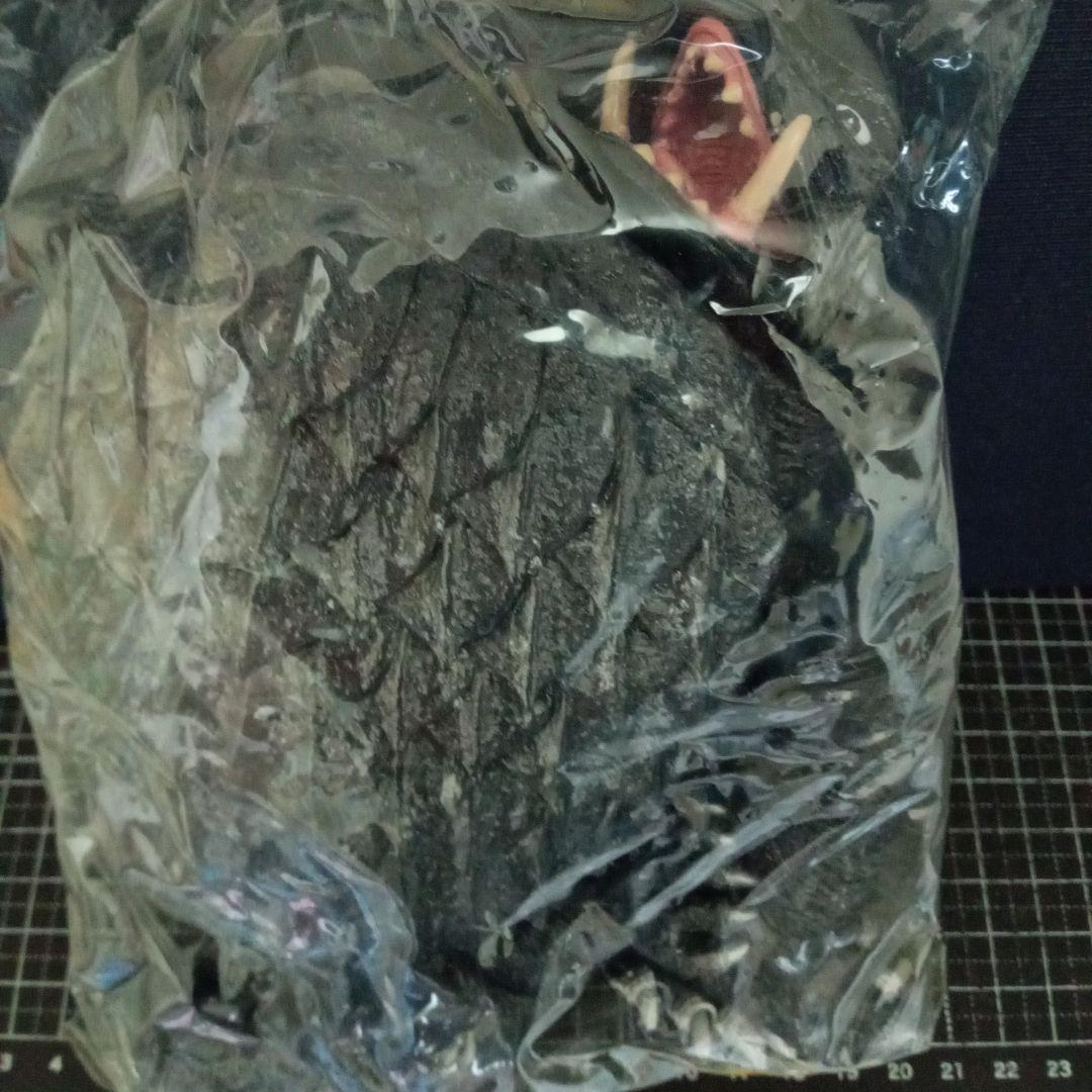 懐かしの昭和特撮「大怪獣ガメラ」ソフビフィギュア（湯浅憲明監督サイン入り）