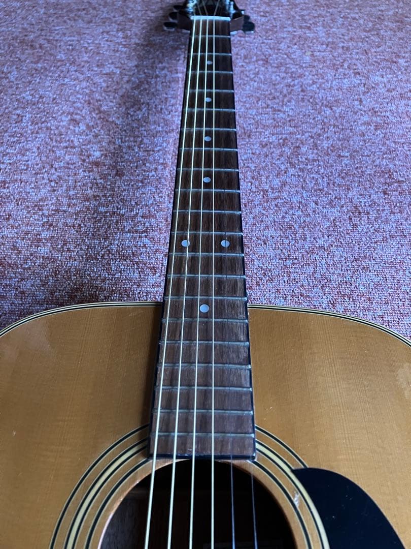 国産 タカミネ Takamine T-1 弦新品