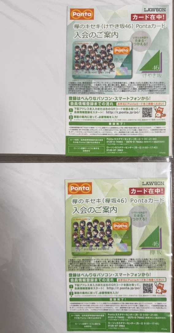 【新品未開封 最安値】欅坂46/けやき坂46 Pontaカード8種9枚セット