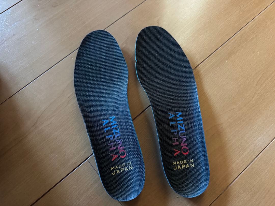 シューズ Mizuno Alpha japan 25.0