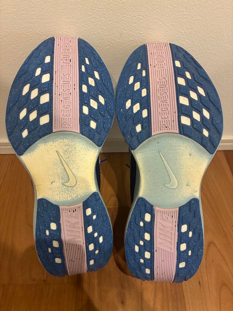 ナイキ ペガサス プラス 28cm