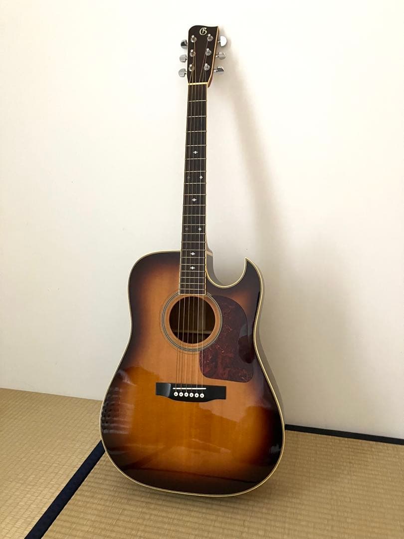 ★超美品★レア物★Gallagher GL-9C ❤️価格応相談❤️