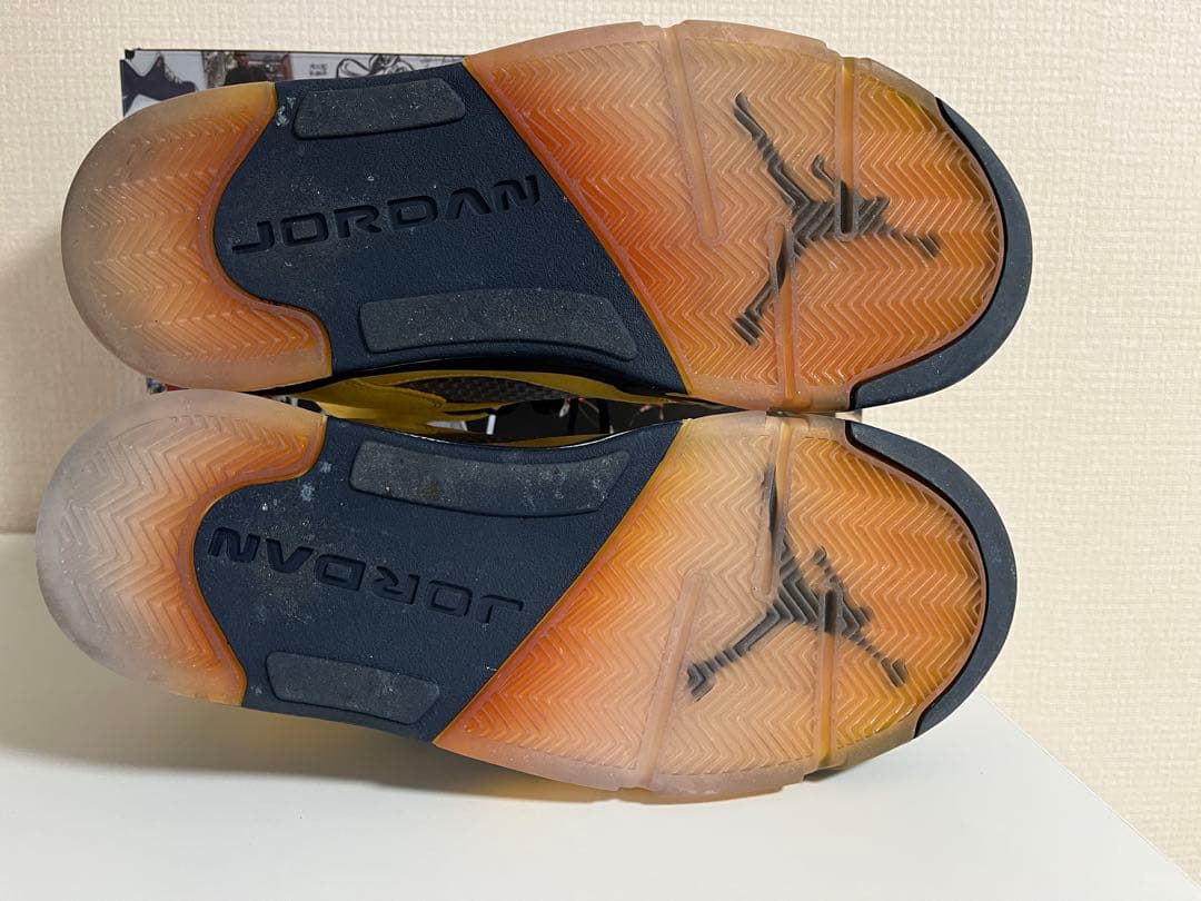 Jordan Air Jordan 5 レトロ　ミシガン