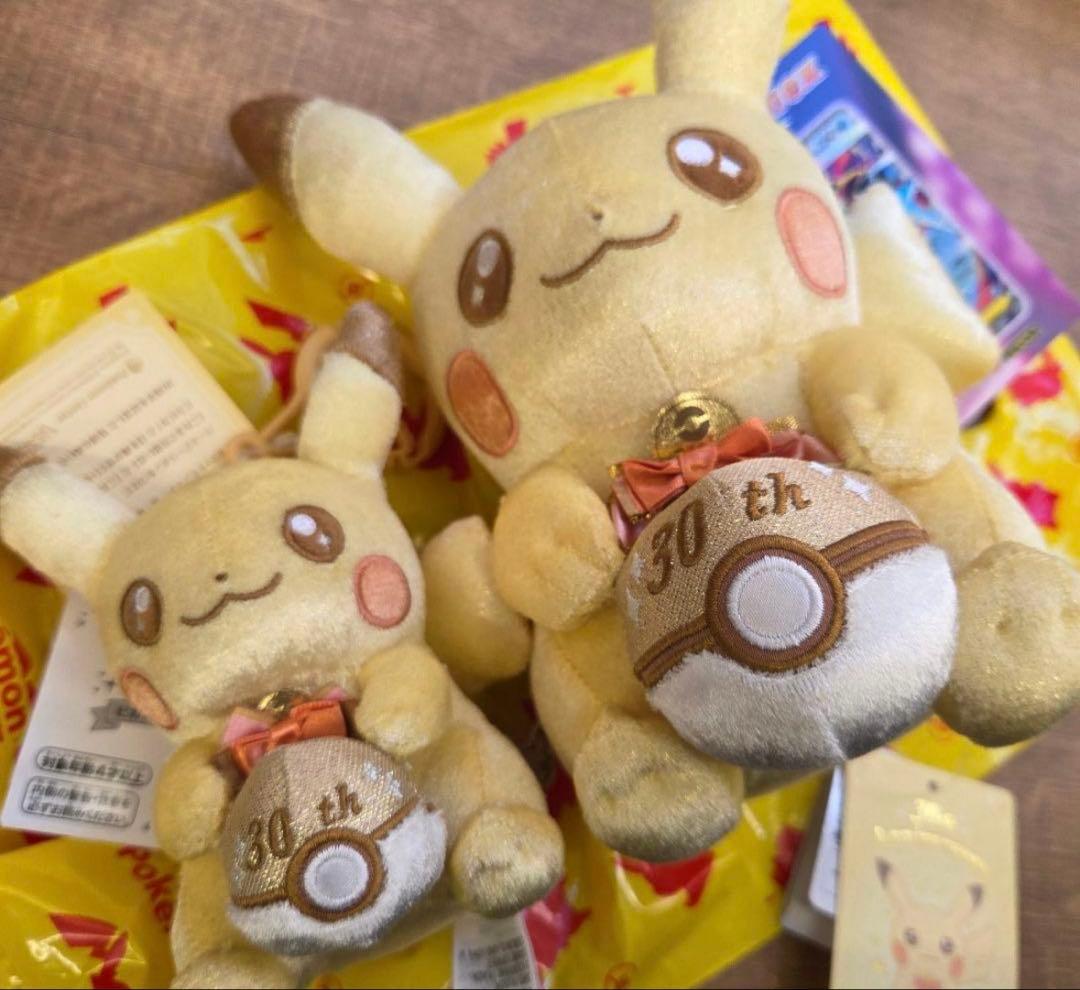 ポケモン 30周年記念 ピカピカ！ピカチュウ ぬいぐるみ マスコット 2点セット