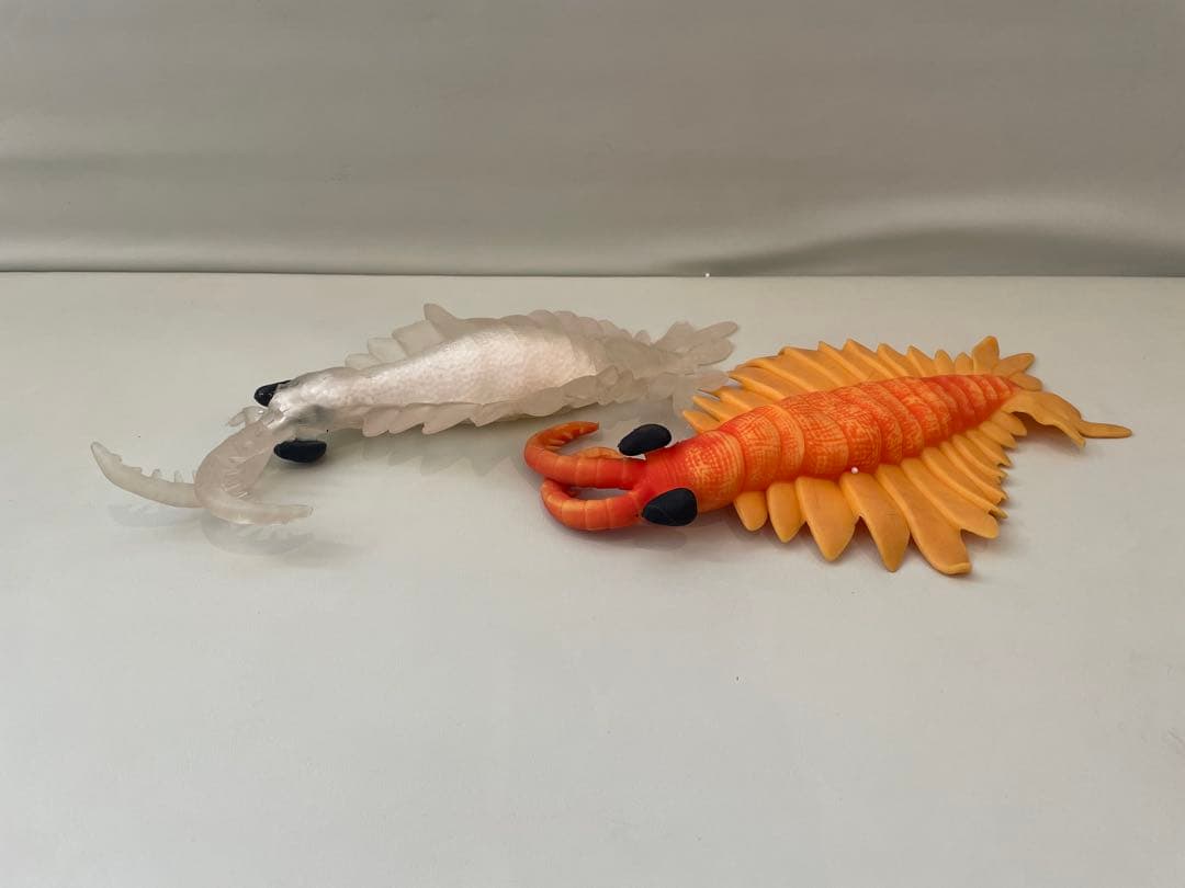 海の恐竜アンドコ