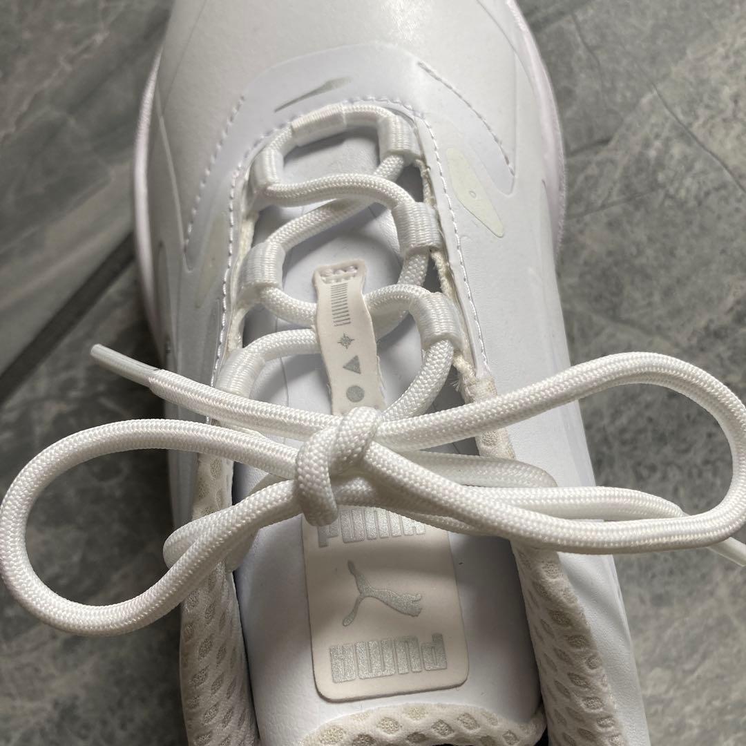 PUMA ゴルフシューズ　白　25.5 新品