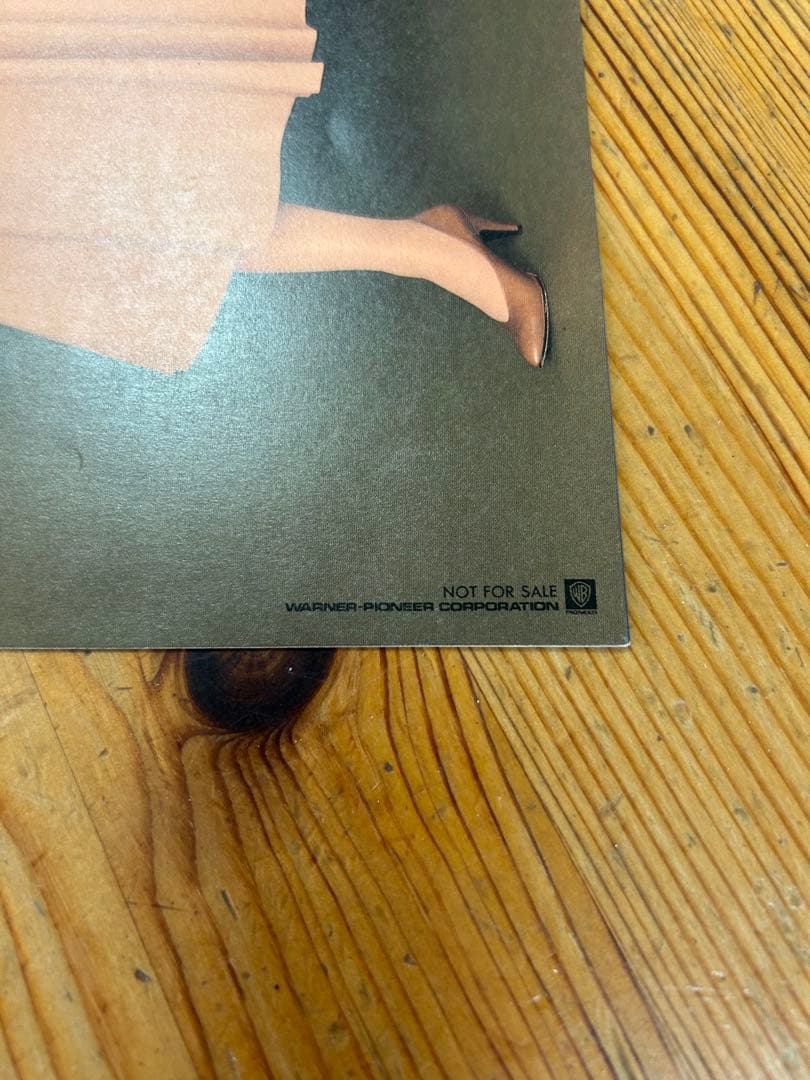 森高千里　パンフレット　非売品　特典冊子