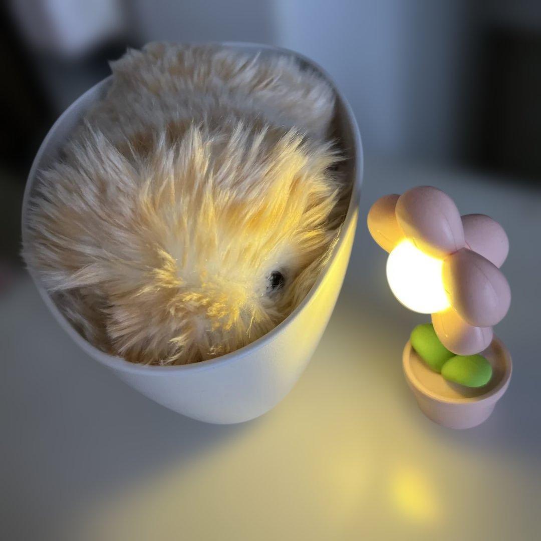 aIペット モフリン ゴールド