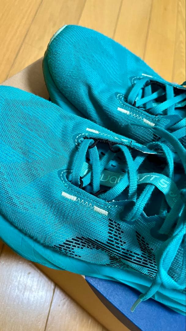 アシックスasicsノヴァブラスト5(25.5cm)