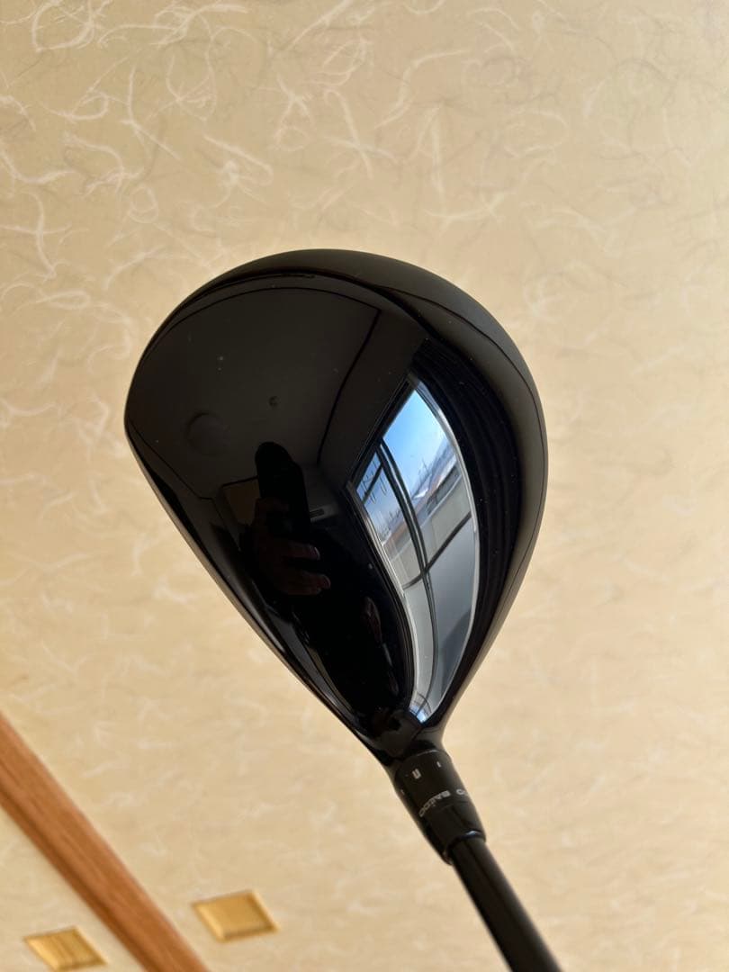【美品】BALDO GT2ドライバー ヘッドのみ