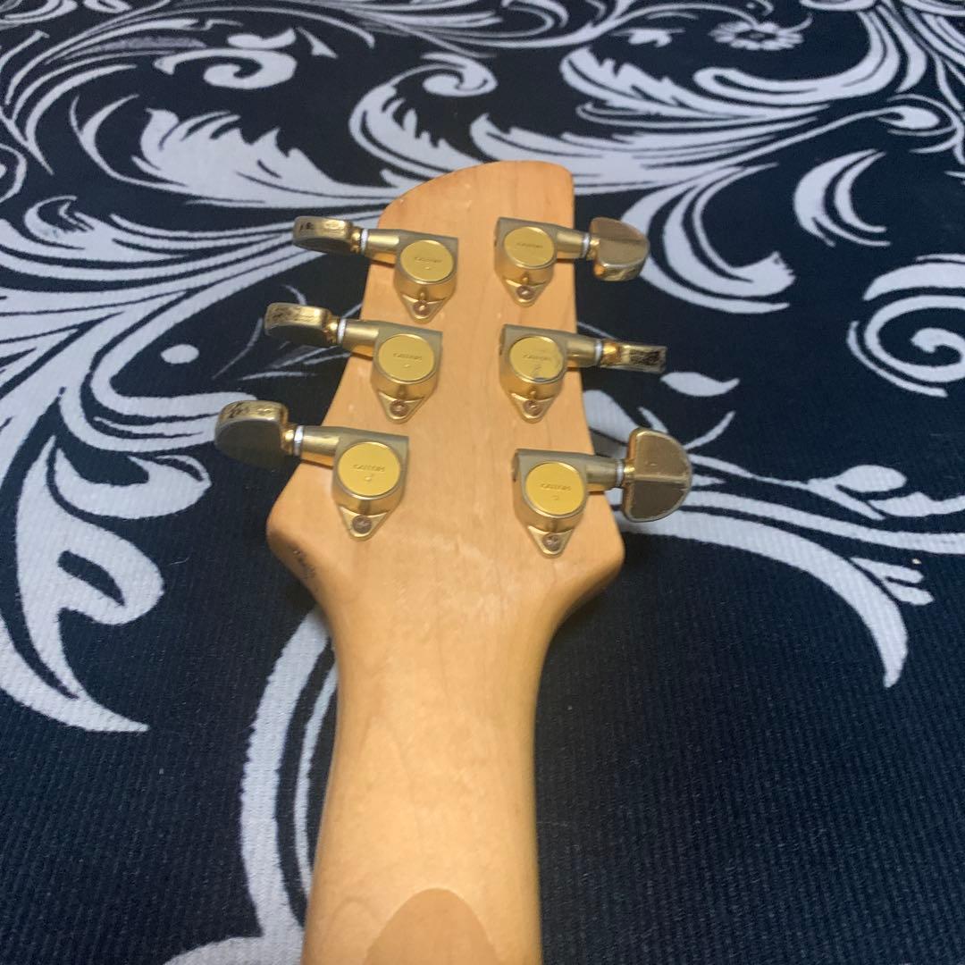 【希少】Fernandes APG-85S GLAY HISASHI愛用モデル