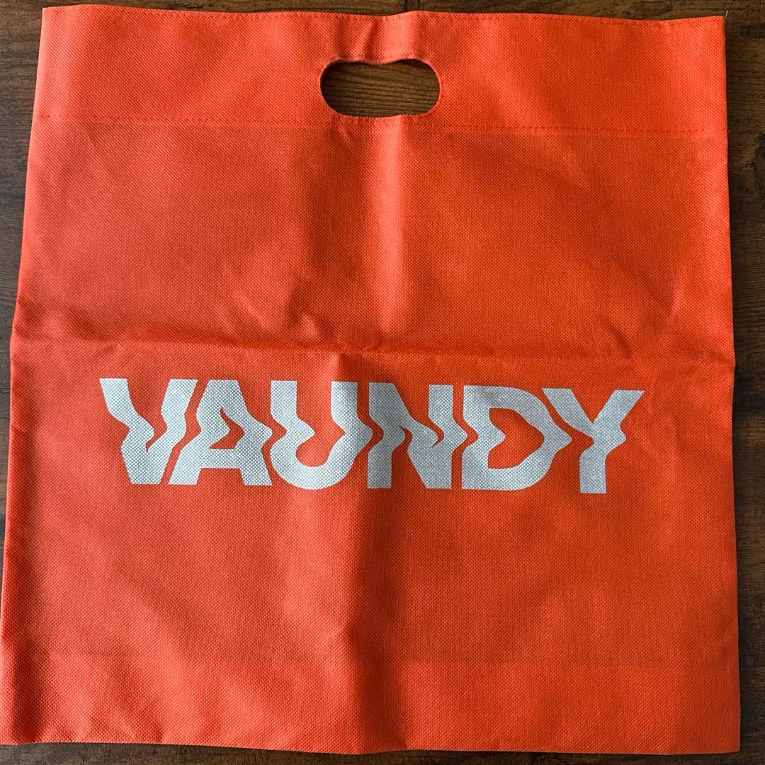 Vaundy バウンディ Fusion 不織布バッグ　マスコットキーチェーン