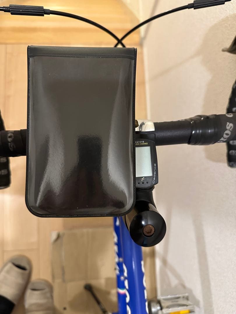 GIOS PANTO 20インチ　ミニベロ　ロードバイク