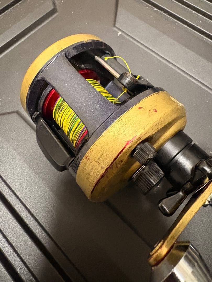 ダイワ(DAIWA) 両軸リール 17 ダイナスター250