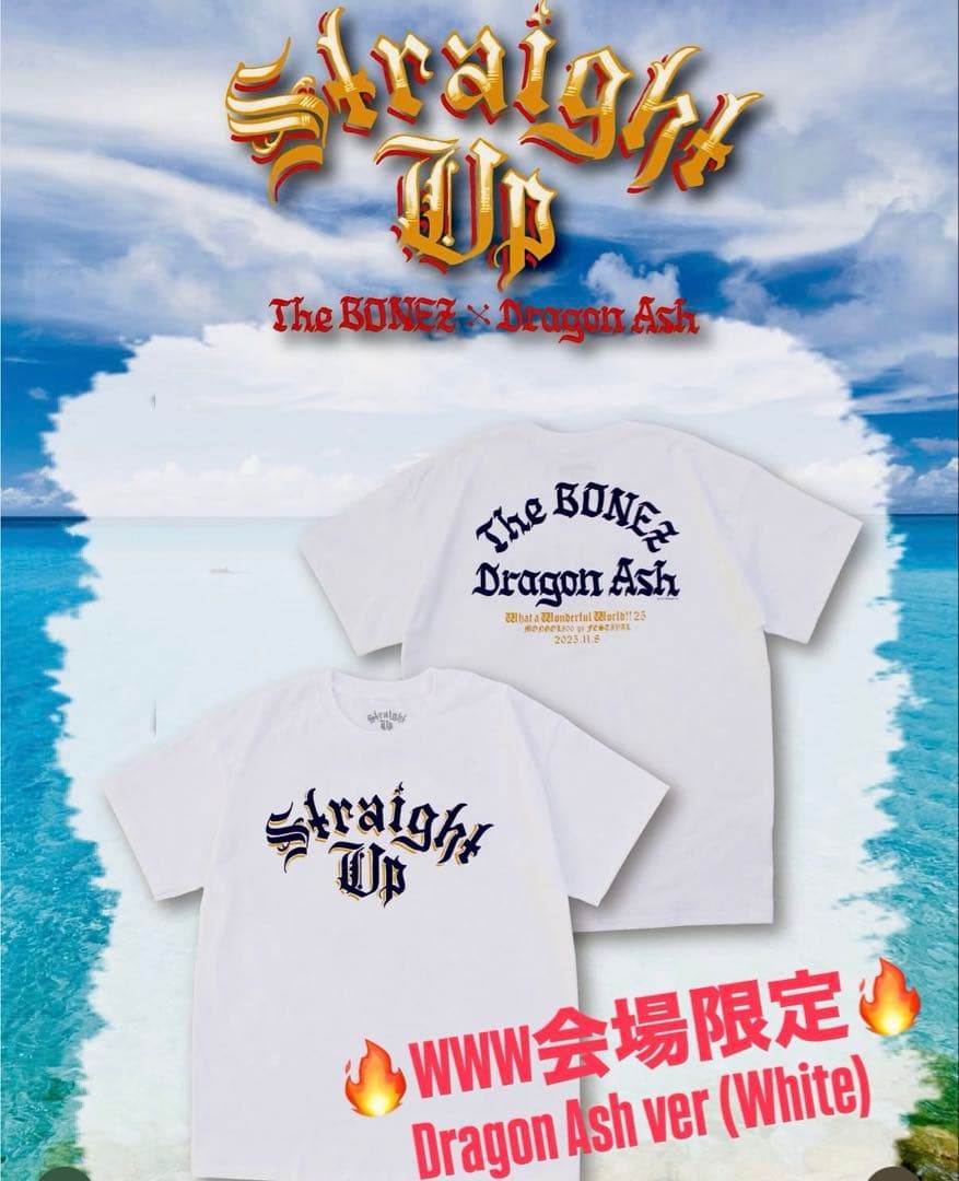 【最終値下げ】Straight Up Tee 沖縄限定 Mサイズ 新品未使用