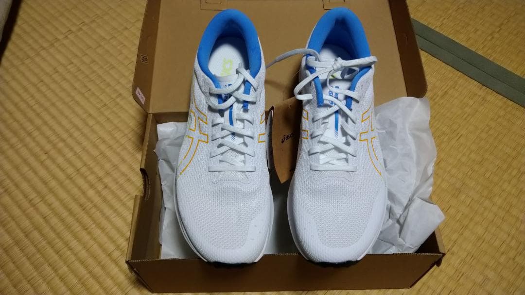 ASICS ライトレーサー 6 26.0cm