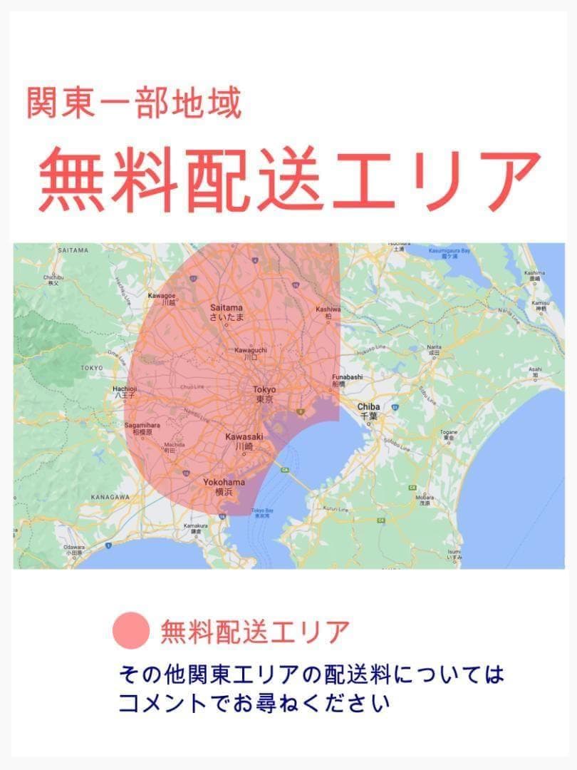 H3561 2024 ラクイック ギュットクルーム 電動アシスト自転車