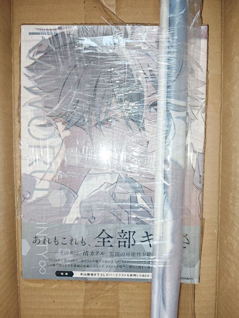 渚カヲル写真集2　ゲーマーズ限定版特典付き　缶バッジ　B2タペストリー