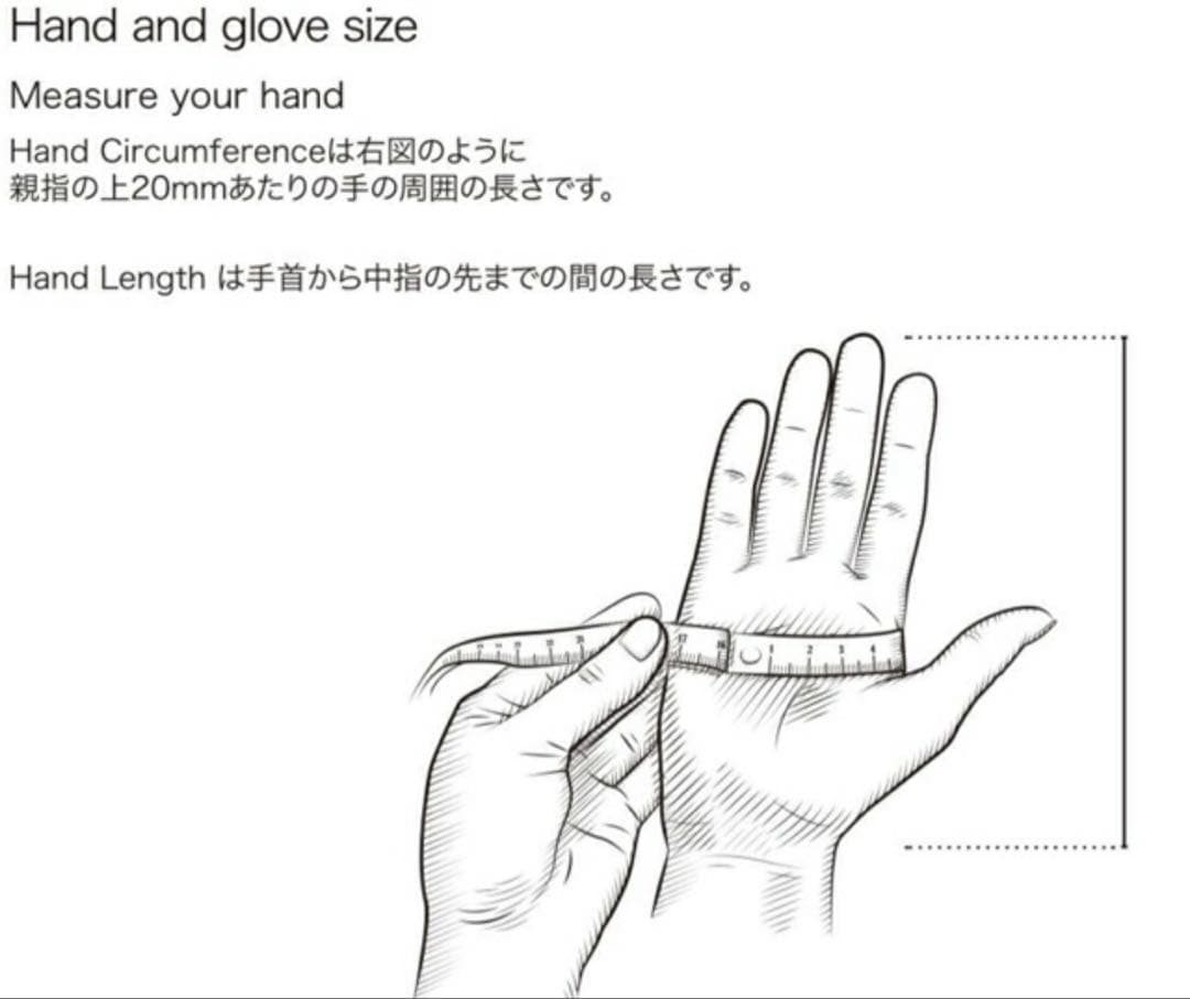 HESTRA へストラ TOPO 3-Finger スキー スノボ グローブ
