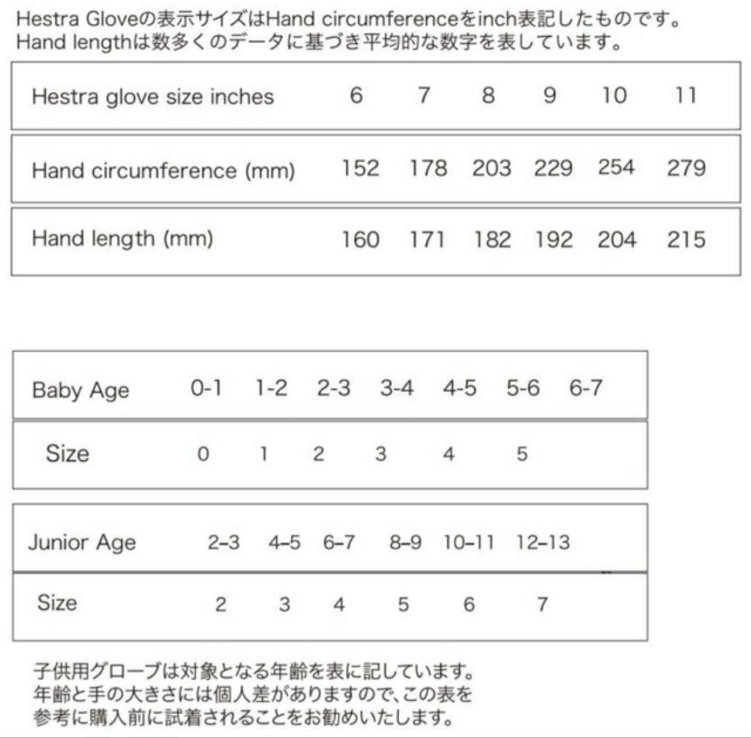 HESTRA へストラ TOPO 3-Finger スキー スノボ グローブ