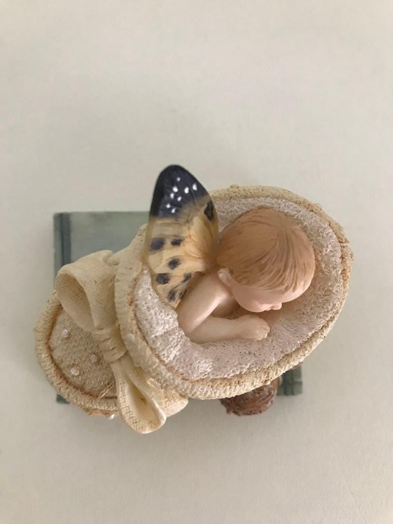 バタフライフェアリー　NEW ARRIVAL