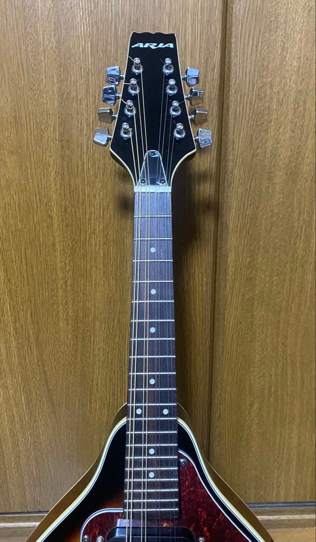 Aria AM-20E ピックアップ搭載　ハードケース付　エレキマンドリン