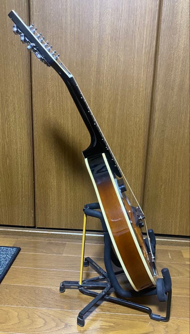 Aria AM-20E ピックアップ搭載　ハードケース付　エレキマンドリン