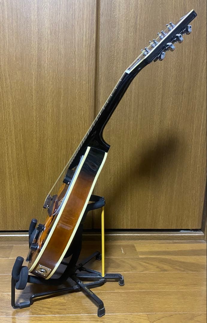 Aria AM-20E ピックアップ搭載　ハードケース付　エレキマンドリン