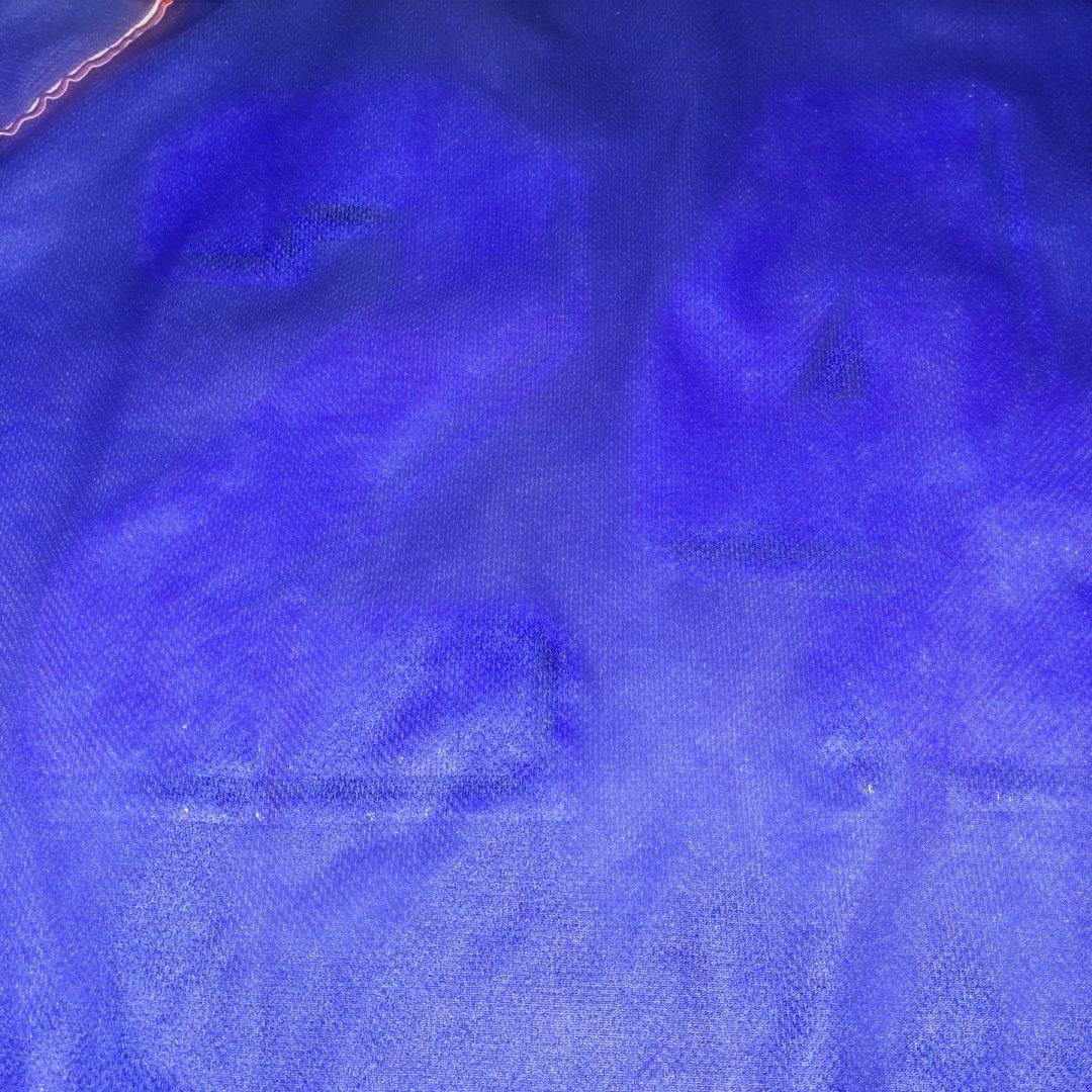 ロナウジーにょ