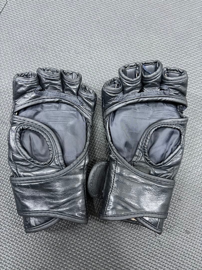 Fairtex L ONE championship ボクシンググローブ 黒