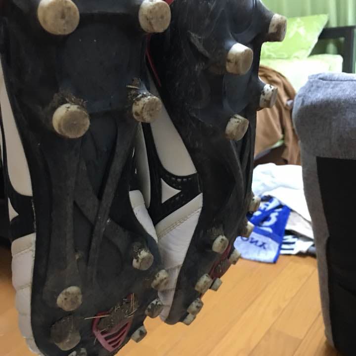 モレリア  モレリアネオ