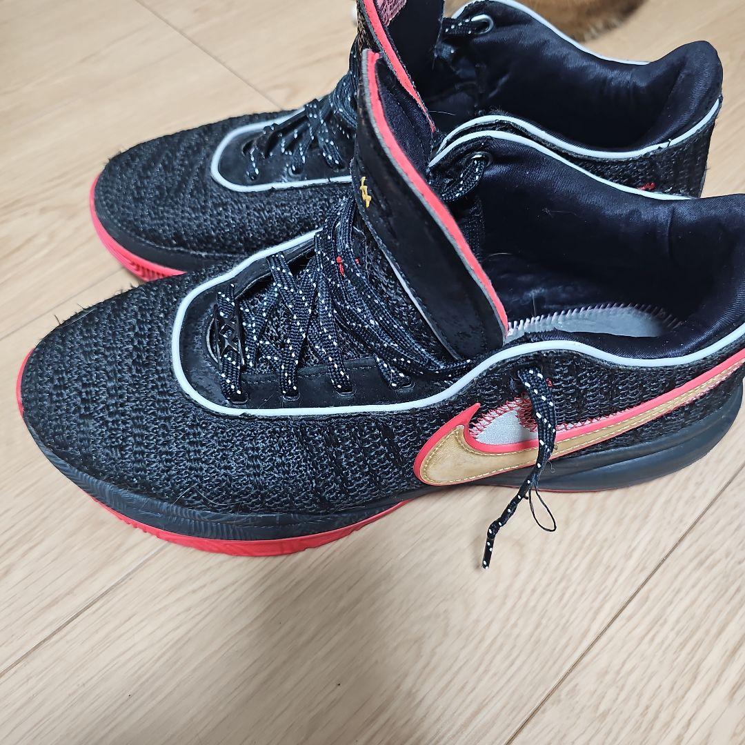 NIKE レブロン20