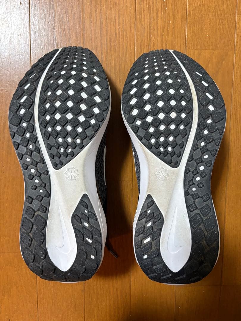 NIKE ペガサス41 ワイド 28.0cm
