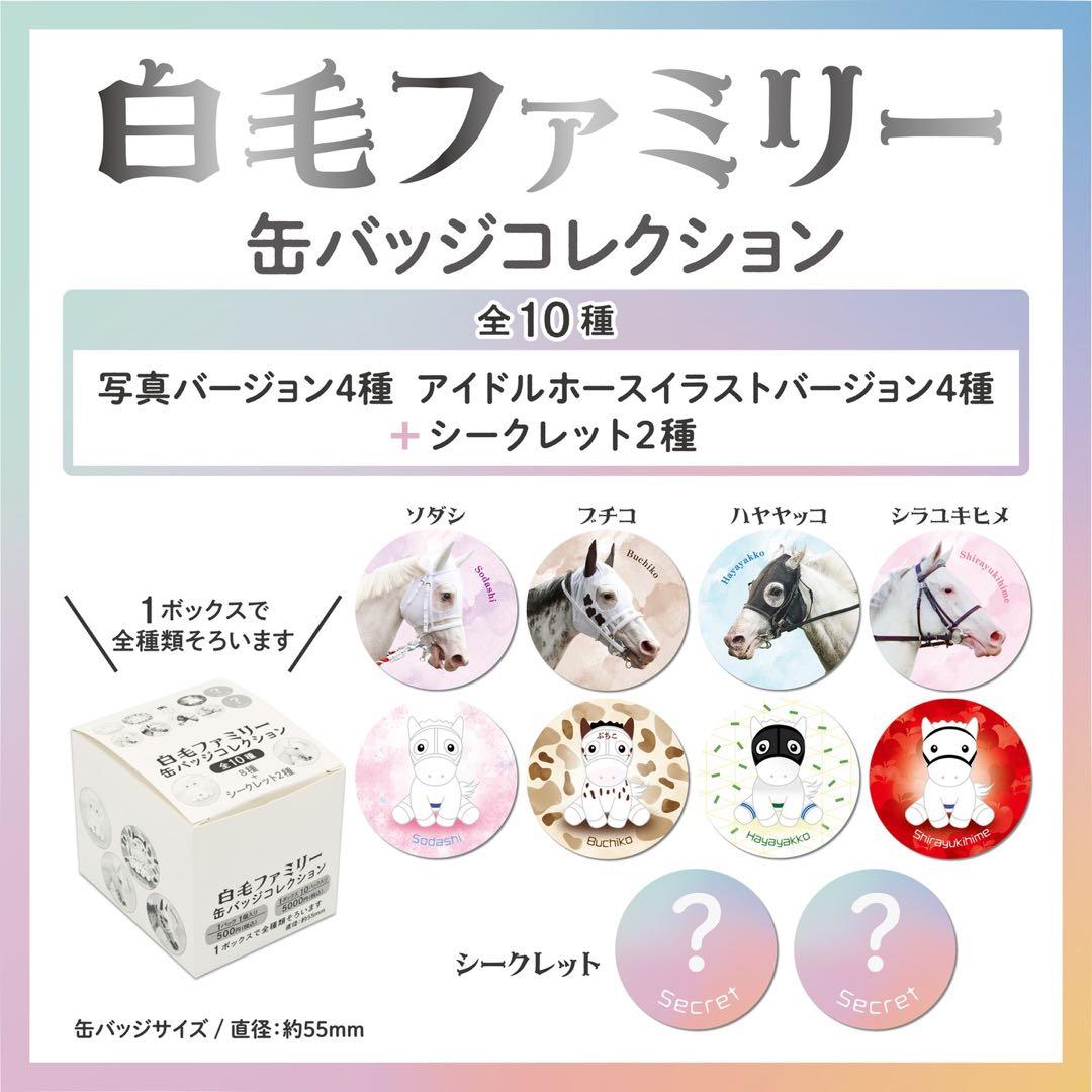白毛ファミリー 缶バッジ 全10種コンプリート 競走馬 アイドルホース
