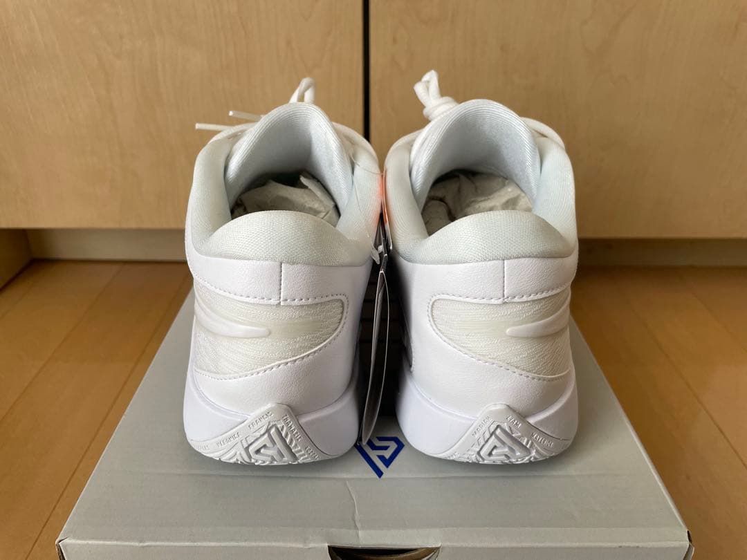 【新品未使用】Nike ナイキ ヤニス フリーク6 EP 25cm 箱 タグ付