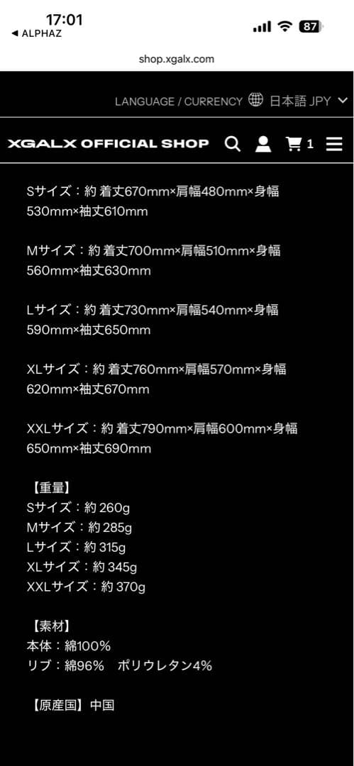 XG ロングスリーブTシャツ \"THE CORE\" グレー