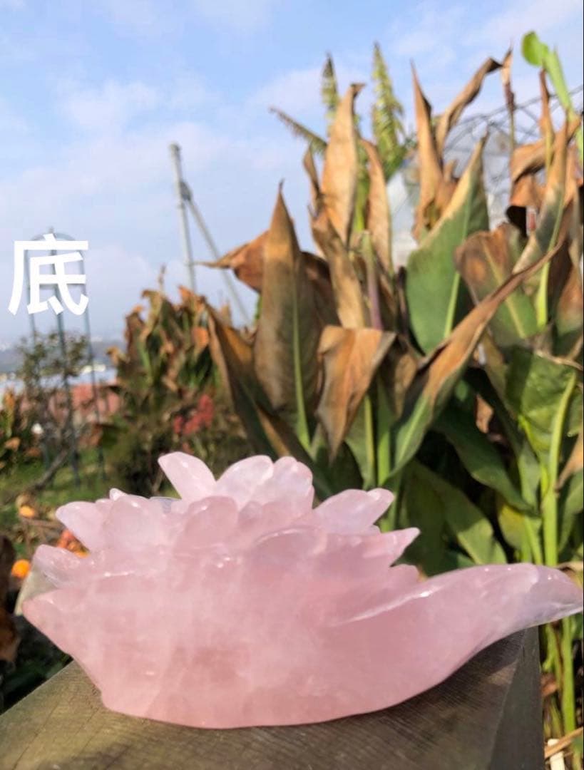 ❤️高品質　精巧に彫刻　☆大きめ0.42kg 逸品　ローズクォーツ　薔薇カービング