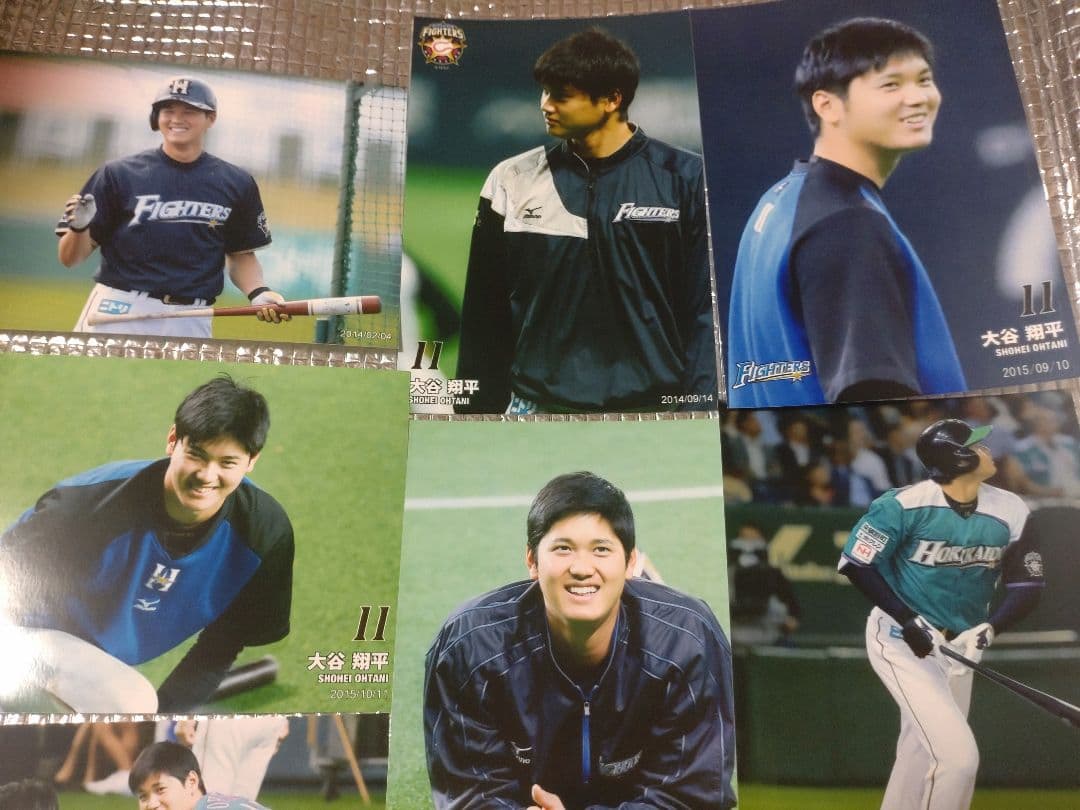大谷翔平 ハイライトフォト 球団公式写真 ② 10枚セット 日本ハム