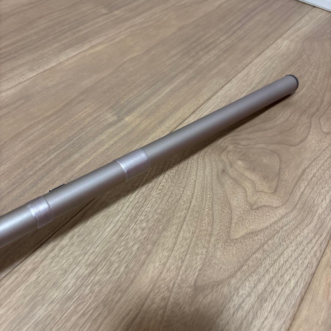 釣竿　INTER LINE 飛竜　06-45 Daiwa 釣り　フィッシング