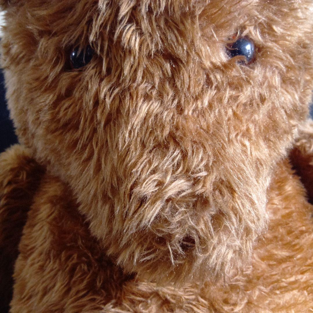 ぬいぐるみ DOUGLAS